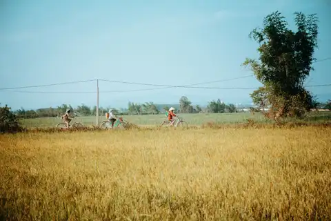 Countryside cycling to Cẩm Thanh with Phúc