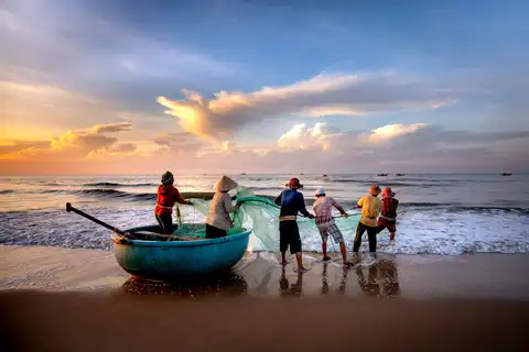 Dawn with the Mân Thái fishing fleet