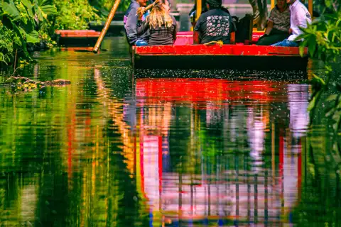 Early trajinera ride through Xochimilco's quiet canals
